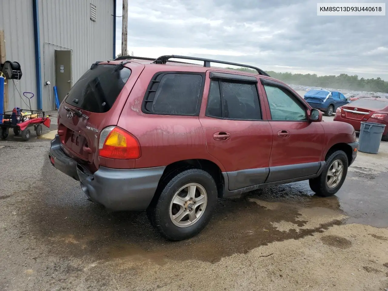 2003 Hyundai Santa Fe Gls VIN: KM8SC13D93U440618 Lot: 54324765