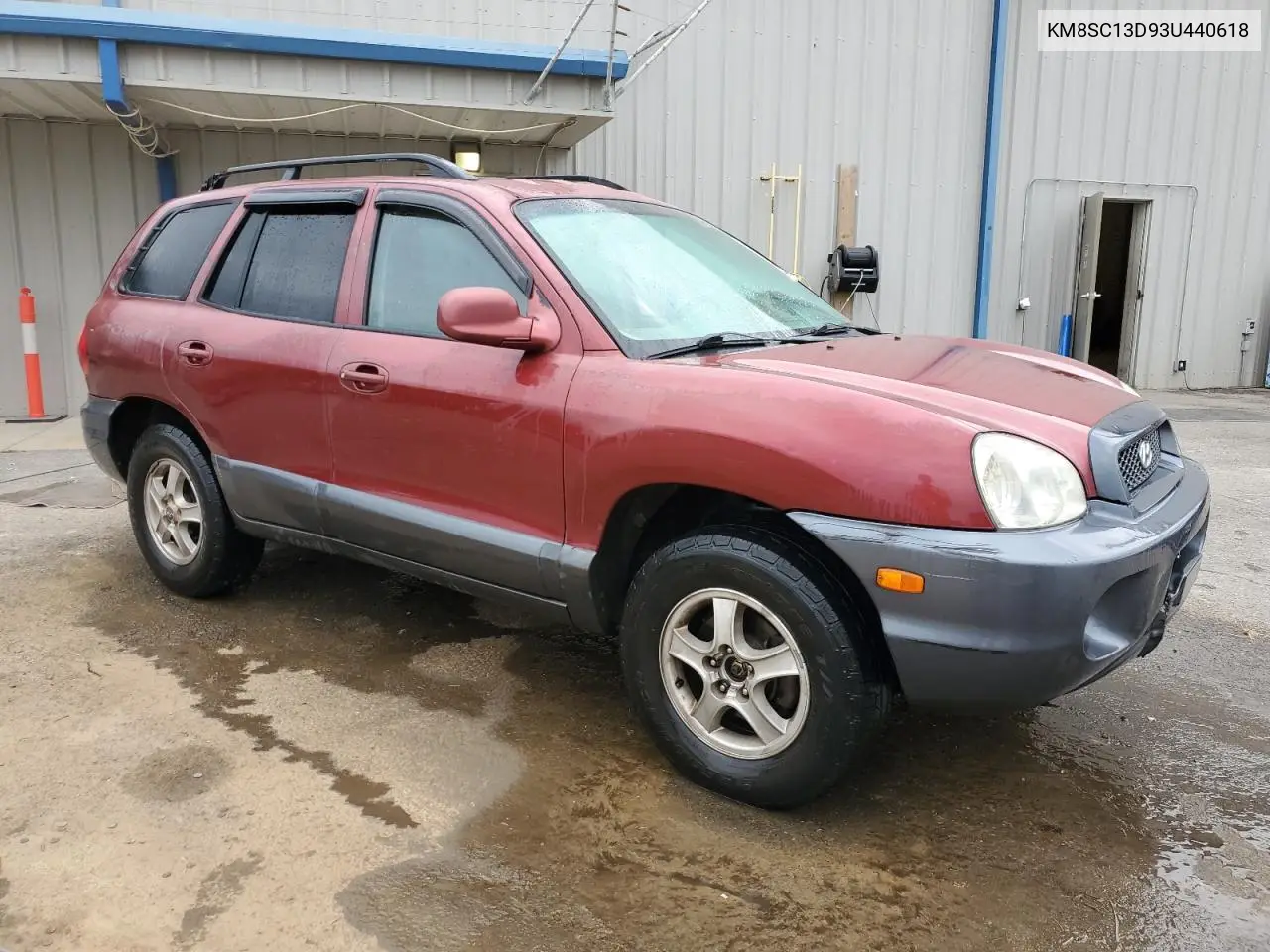 2003 Hyundai Santa Fe Gls VIN: KM8SC13D93U440618 Lot: 54324765