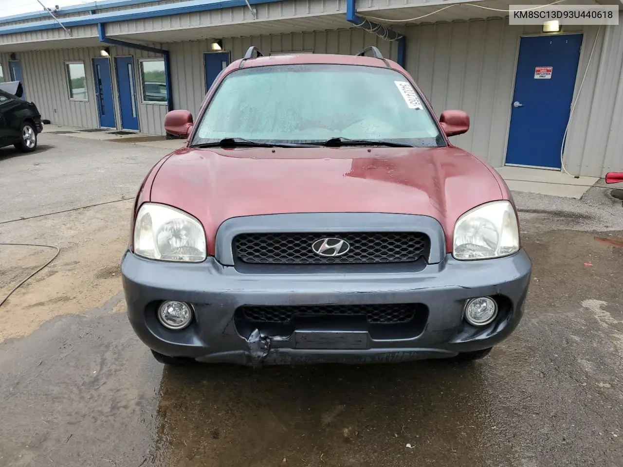 2003 Hyundai Santa Fe Gls VIN: KM8SC13D93U440618 Lot: 54324765