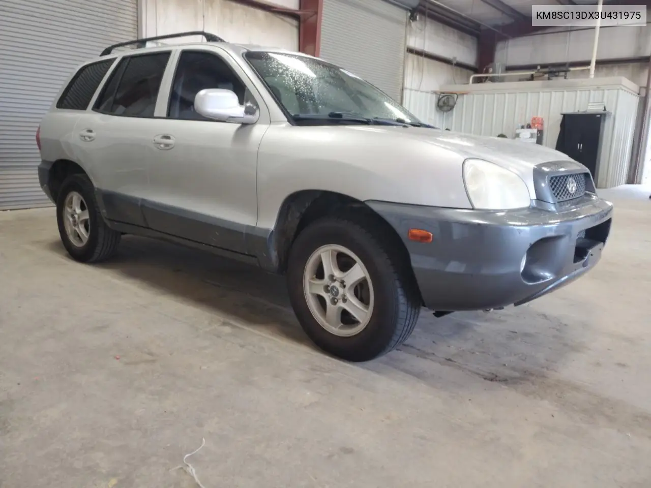 2003 Hyundai Santa Fe Gls VIN: KM8SC13DX3U431975 Lot: 56180275