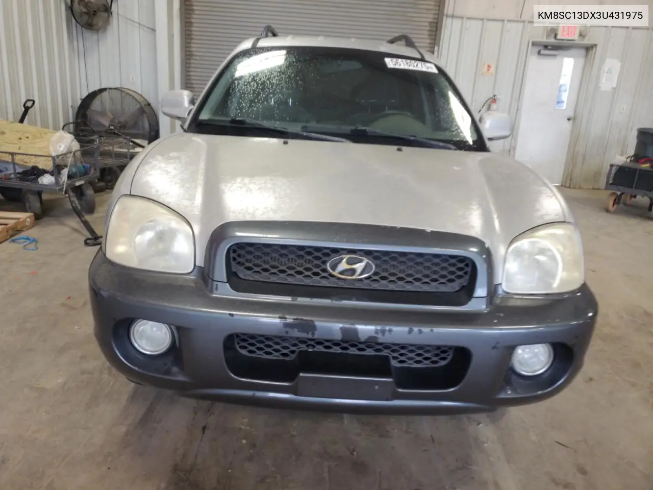 2003 Hyundai Santa Fe Gls VIN: KM8SC13DX3U431975 Lot: 56180275