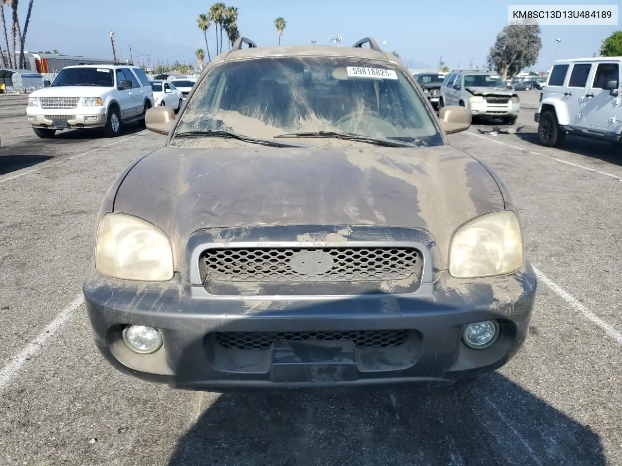 2003 Hyundai Santa Fe Gls VIN: KM8SC13D13U484189 Lot: 59818825