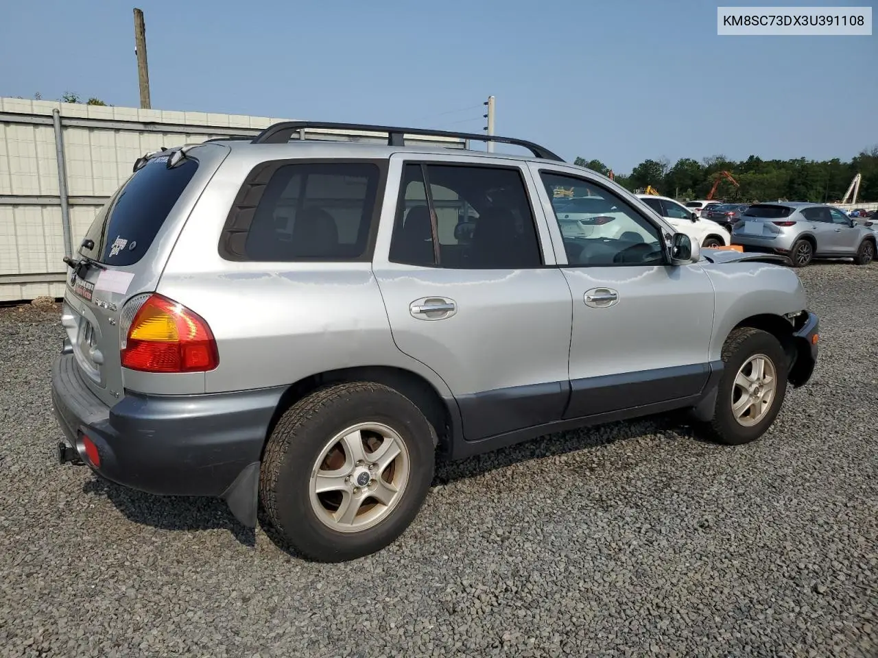 2003 Hyundai Santa Fe Gls VIN: KM8SC73DX3U391108 Lot: 60356315