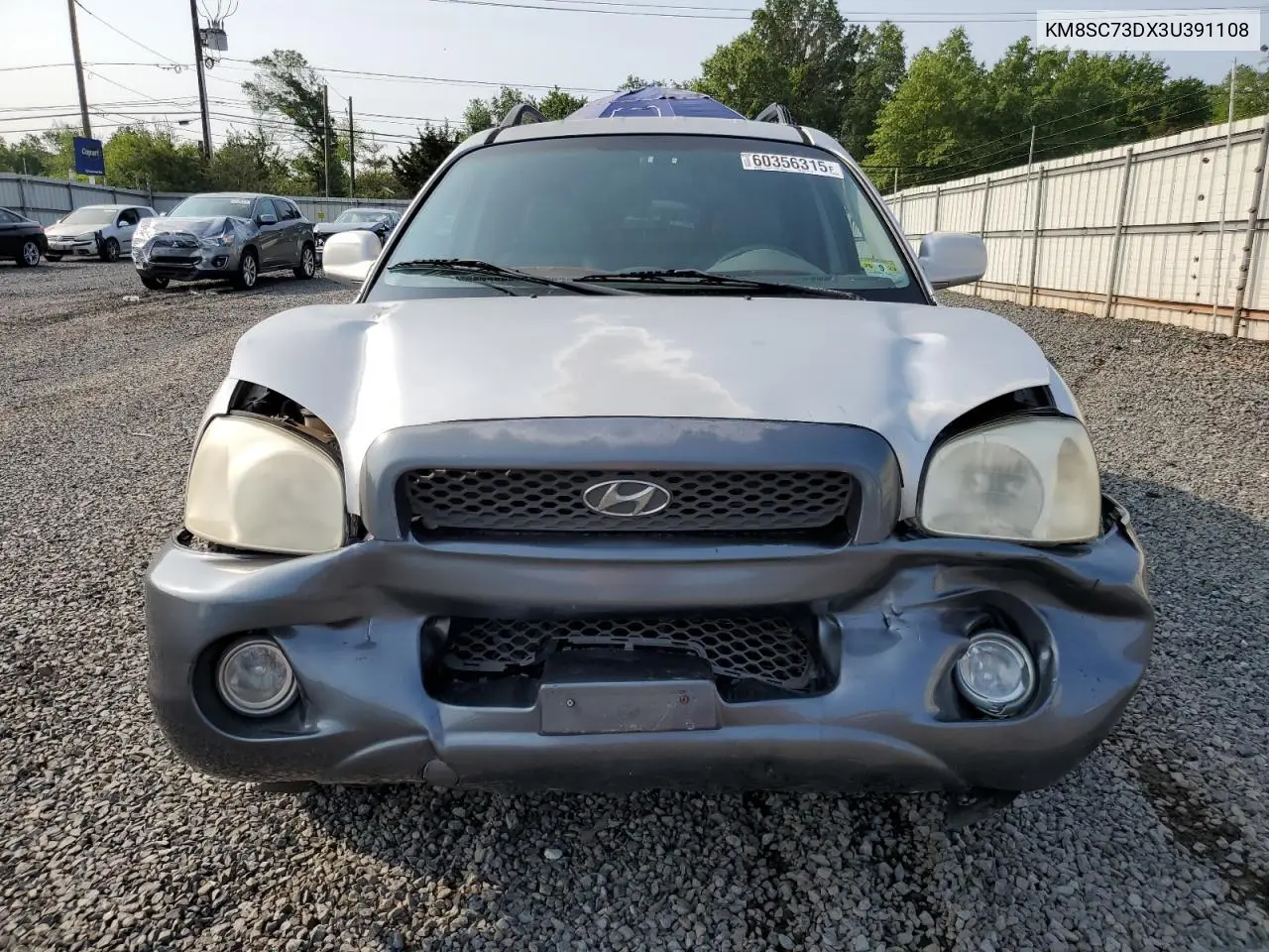 2003 Hyundai Santa Fe Gls VIN: KM8SC73DX3U391108 Lot: 60356315