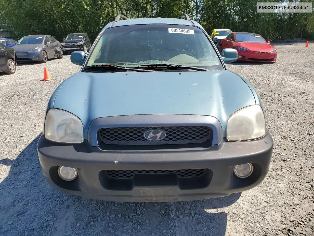 2003 Hyundai Santa Fe Gls VIN: KM8SC13D83U386664 Lot: 60544695