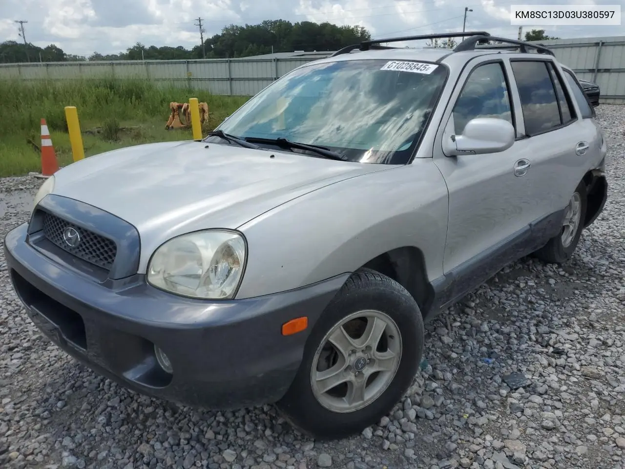 2003 Hyundai Santa Fe Gls VIN: KM8SC13D03U380597 Lot: 61028845