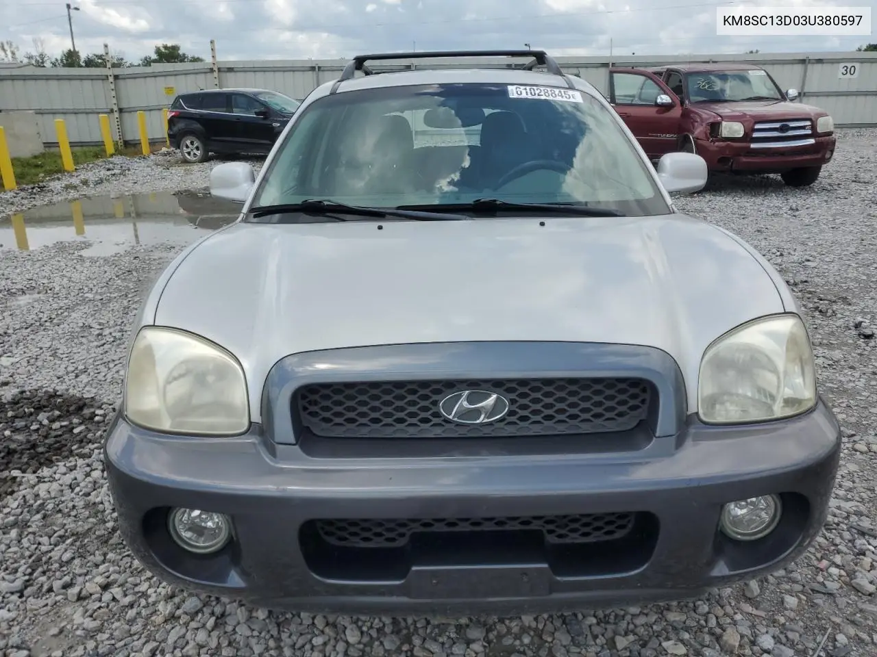2003 Hyundai Santa Fe Gls VIN: KM8SC13D03U380597 Lot: 61028845