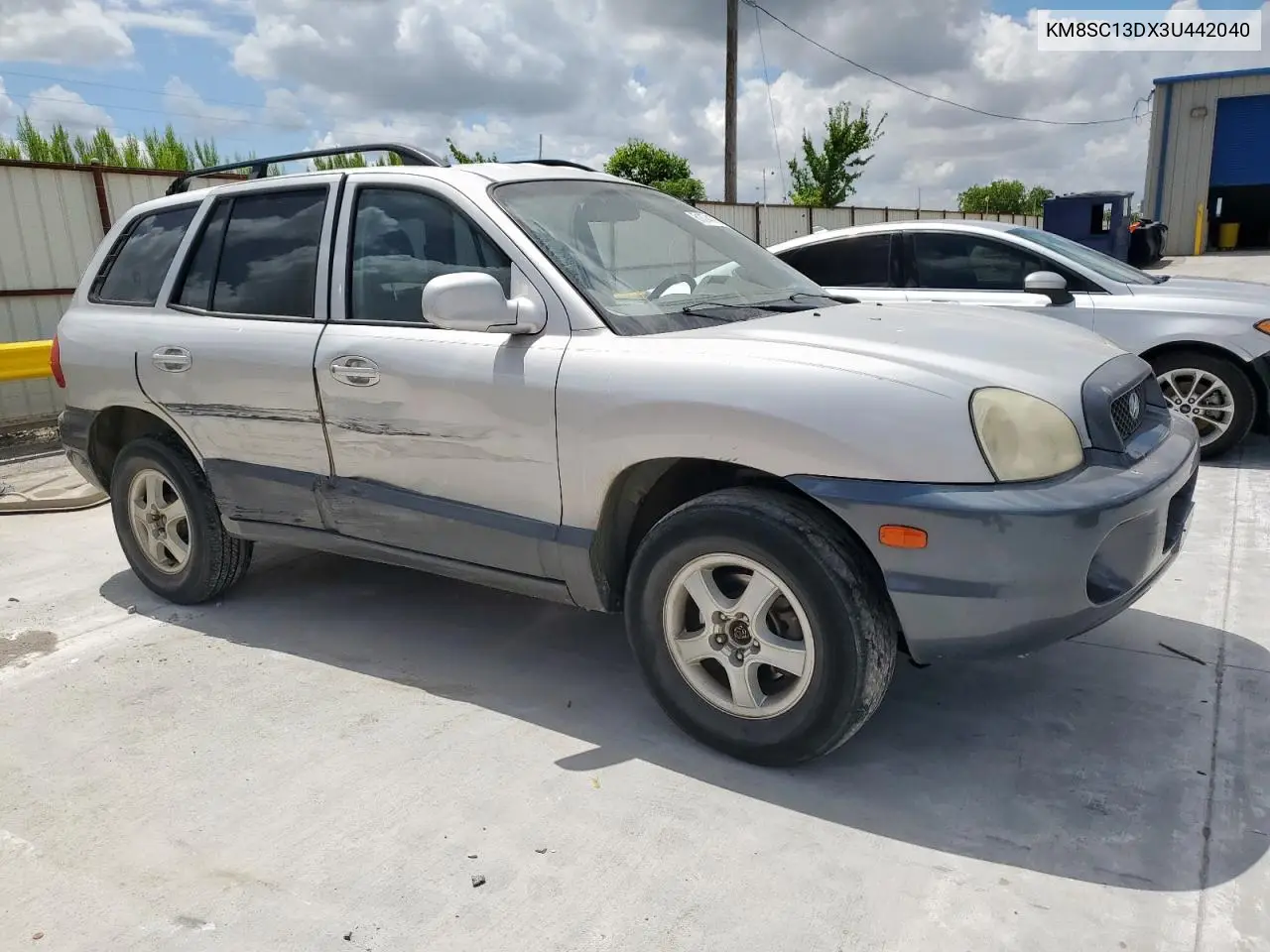 2003 Hyundai Santa Fe Gls VIN: KM8SC13DX3U442040 Lot: 61074175