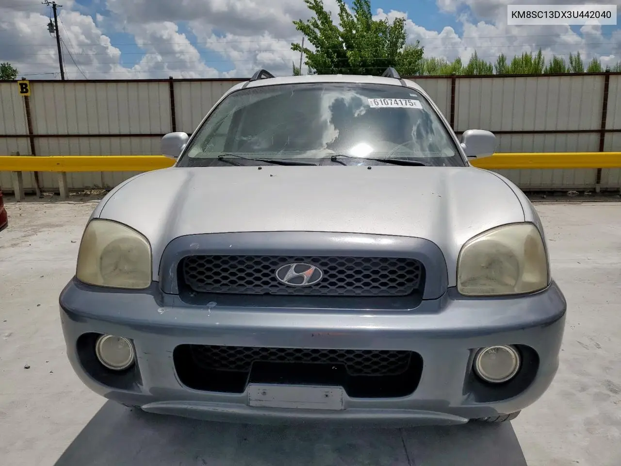 2003 Hyundai Santa Fe Gls VIN: KM8SC13DX3U442040 Lot: 61074175