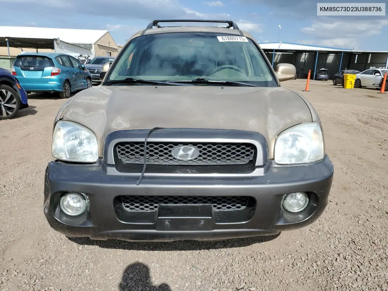 2003 Hyundai Santa Fe Gls VIN: KM8SC73D23U388736 Lot: 61809715
