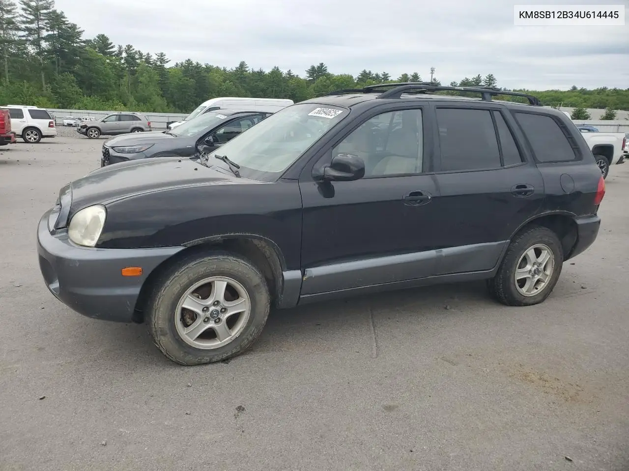 2004 Hyundai Santa Fe Gl VIN: KM8SB12B34U614445 Lot: 61526345