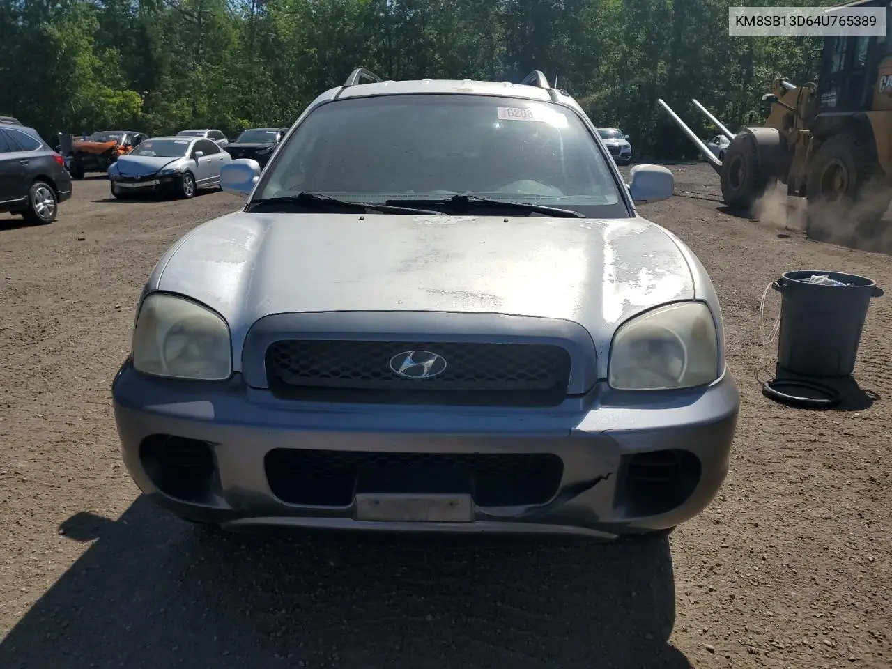 2004 Hyundai Santa Fe VIN: KM8SB13D64U765389 Lot: 62084975