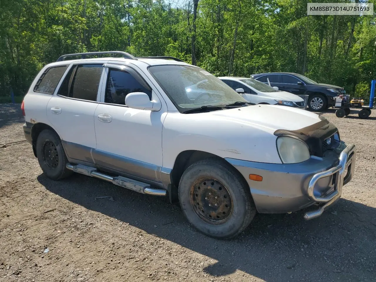 2004 Hyundai Santa Fe VIN: KM8SB73D14U751693 Lot: 62172415