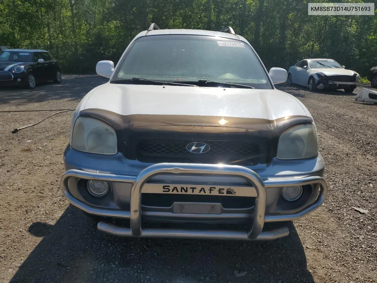 2004 Hyundai Santa Fe VIN: KM8SB73D14U751693 Lot: 62172415