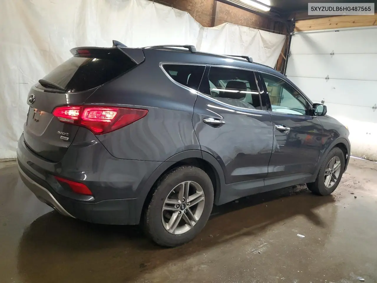 2017 Hyundai Santa Fe Sport VIN: 5XYZUDLB6HG487565 Lot: 63093105