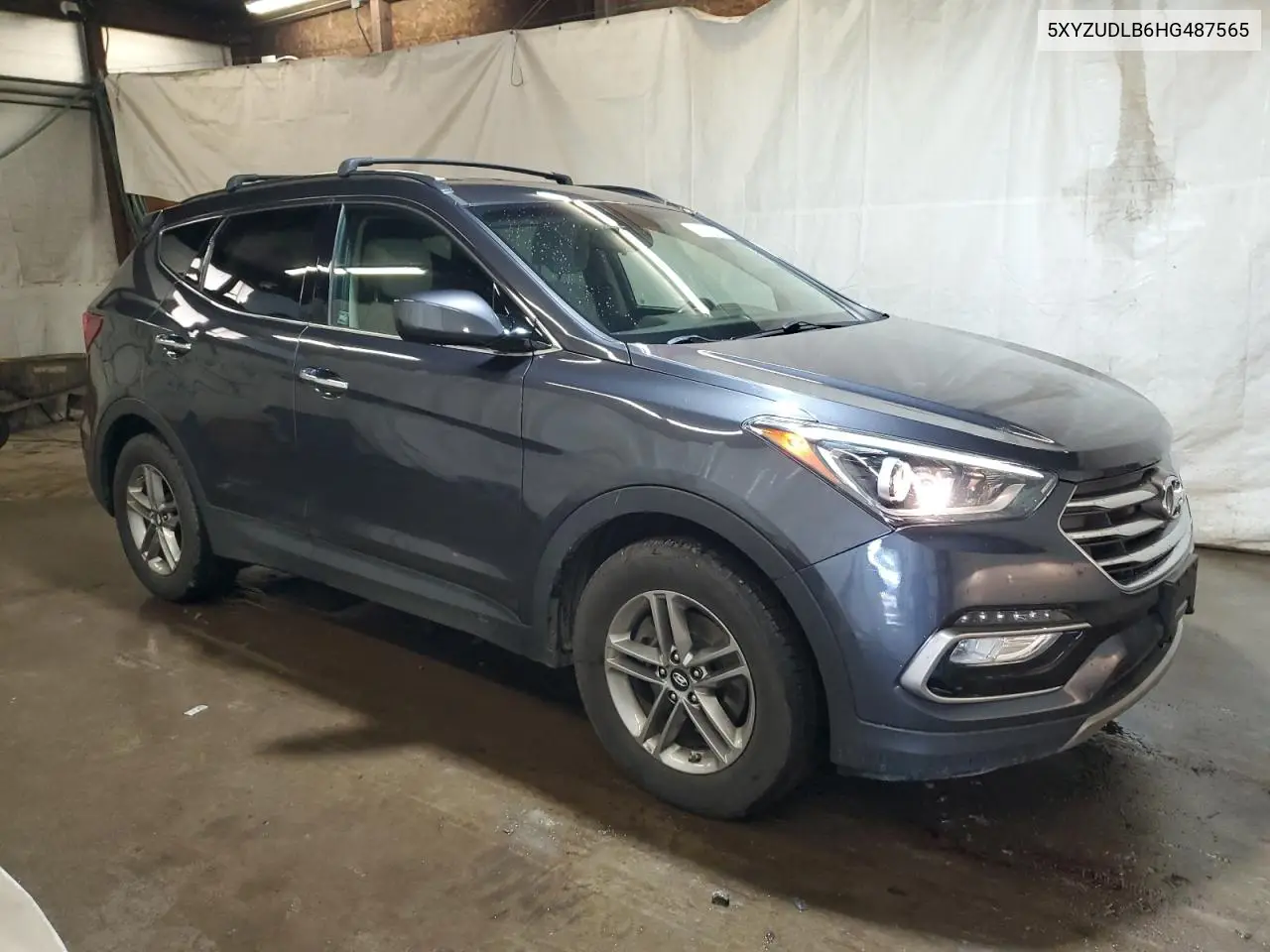 2017 Hyundai Santa Fe Sport VIN: 5XYZUDLB6HG487565 Lot: 63093105