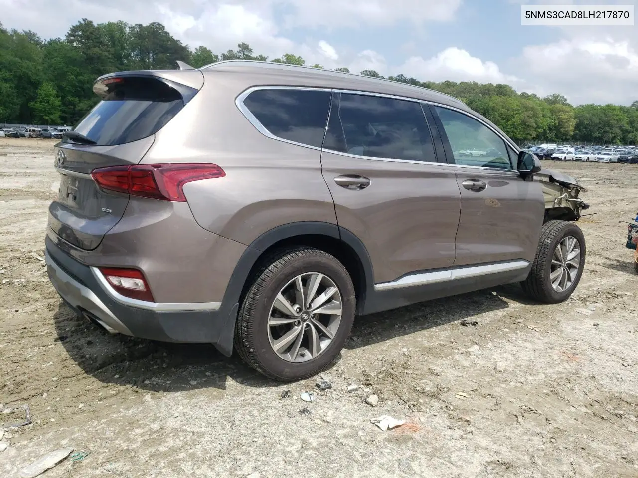 2020 Hyundai Santa Fe Sel VIN: 5NMS3CAD8LH217870 Lot: 56844245