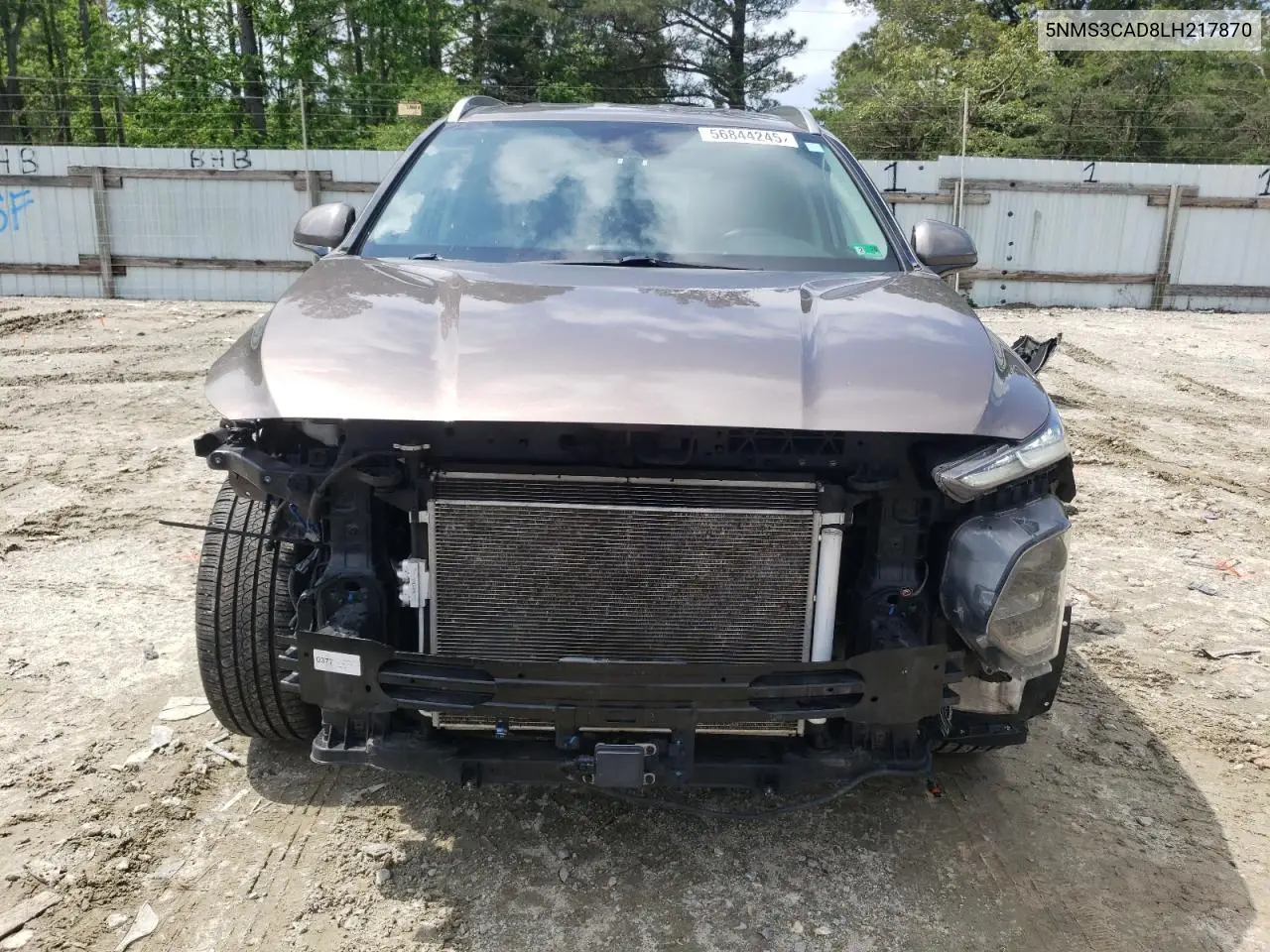 2020 Hyundai Santa Fe Sel VIN: 5NMS3CAD8LH217870 Lot: 56844245