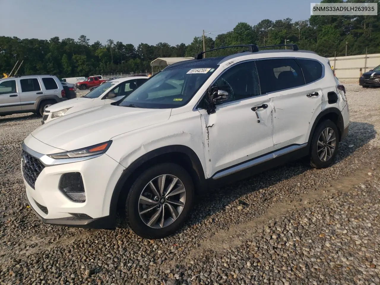 2020 Hyundai Santa Fe Sel VIN: 5NMS33AD9LH263935 Lot: 59164255