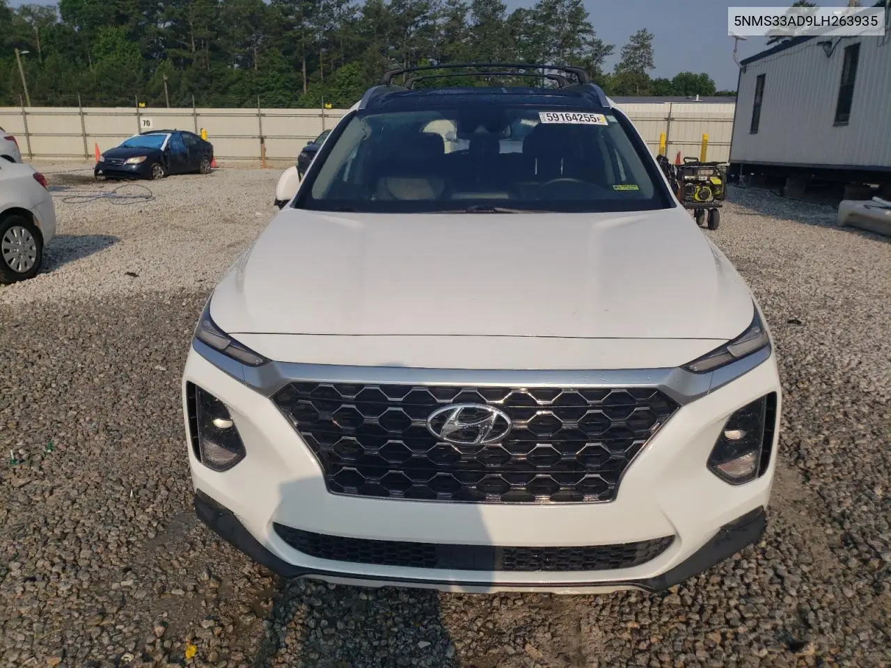 2020 Hyundai Santa Fe Sel VIN: 5NMS33AD9LH263935 Lot: 59164255