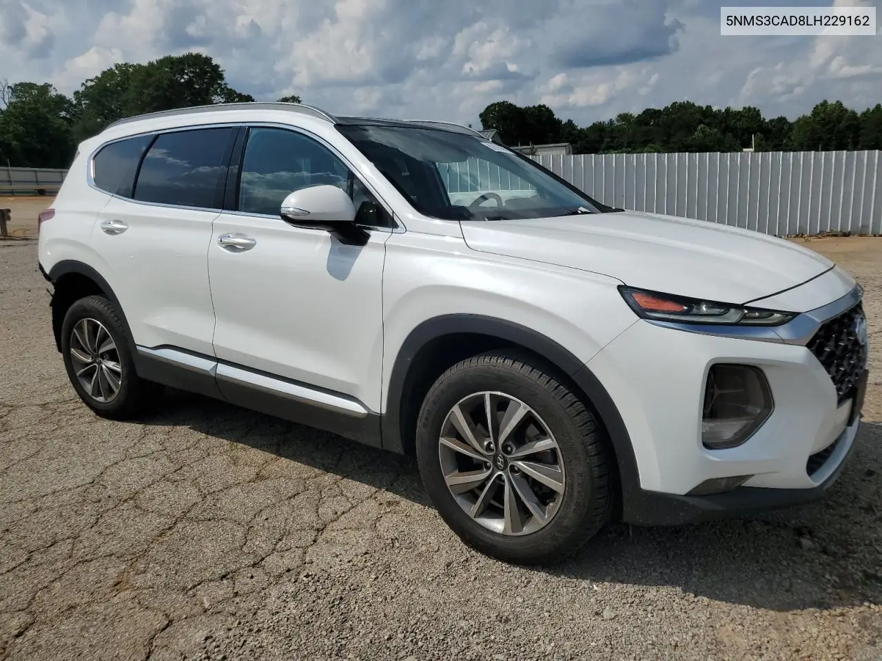 2020 Hyundai Santa Fe Sel VIN: 5NMS3CAD8LH229162 Lot: 62865695