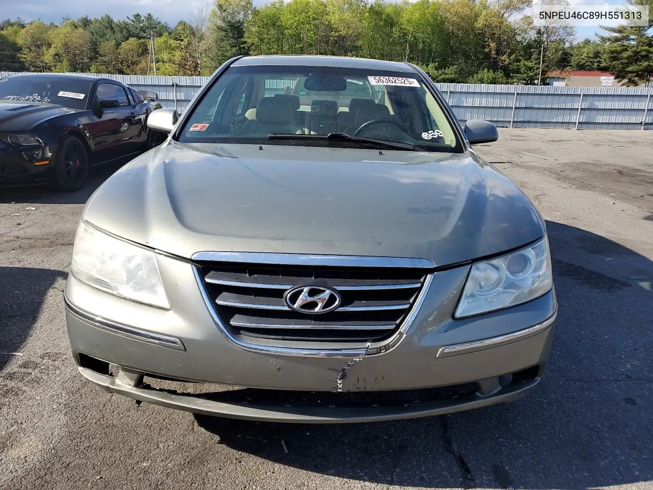 2009 Hyundai Sonata Se VIN: 5NPEU46C89H551313 Lot: 56362525