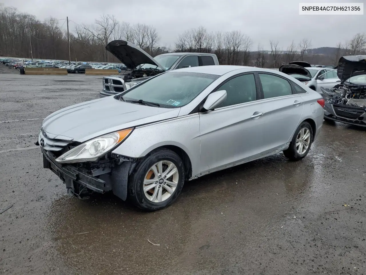 2013 Hyundai Sonata Gls VIN: 5NPEB4AC7DH621356 Lot: 49237365