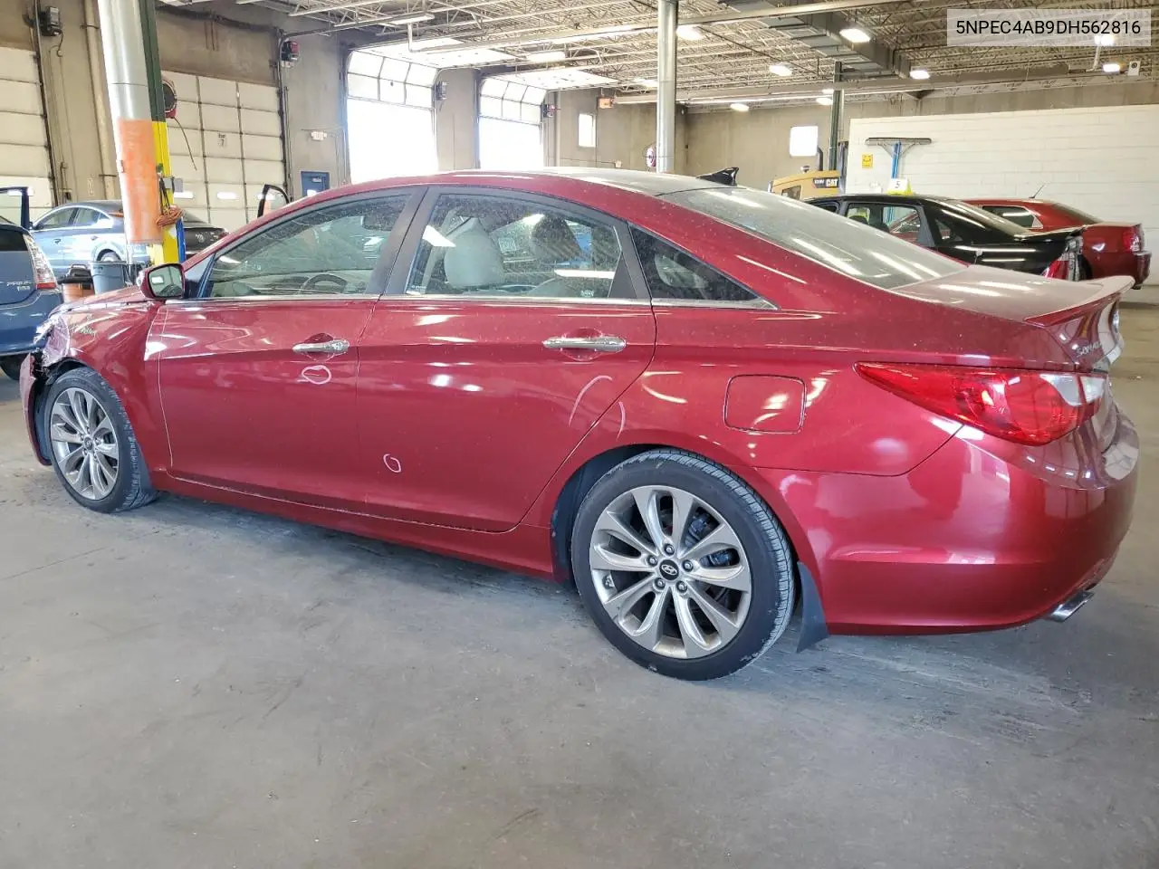 2013 Hyundai Sonata Se VIN: 5NPEC4AB9DH562816 Lot: 55907875
