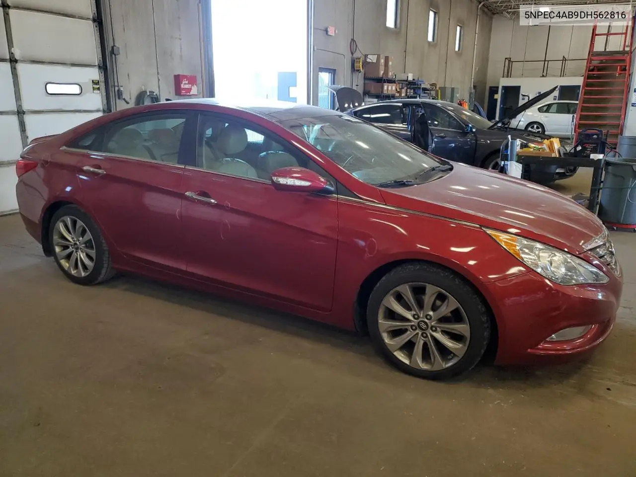 2013 Hyundai Sonata Se VIN: 5NPEC4AB9DH562816 Lot: 55907875