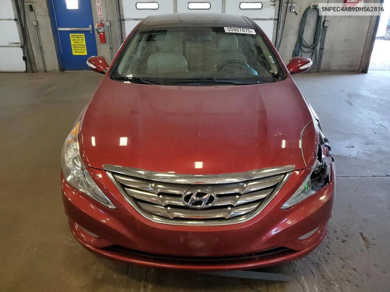 2013 Hyundai Sonata Se VIN: 5NPEC4AB9DH562816 Lot: 55907875