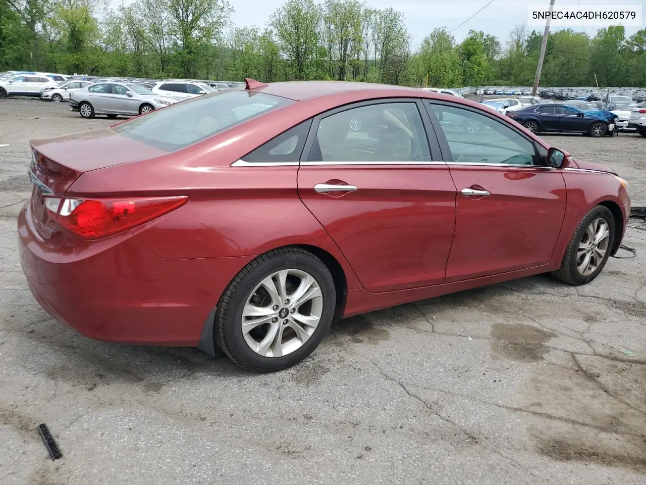 2013 Hyundai Sonata Se VIN: 5NPEC4AC4DH620579 Lot: 56136065