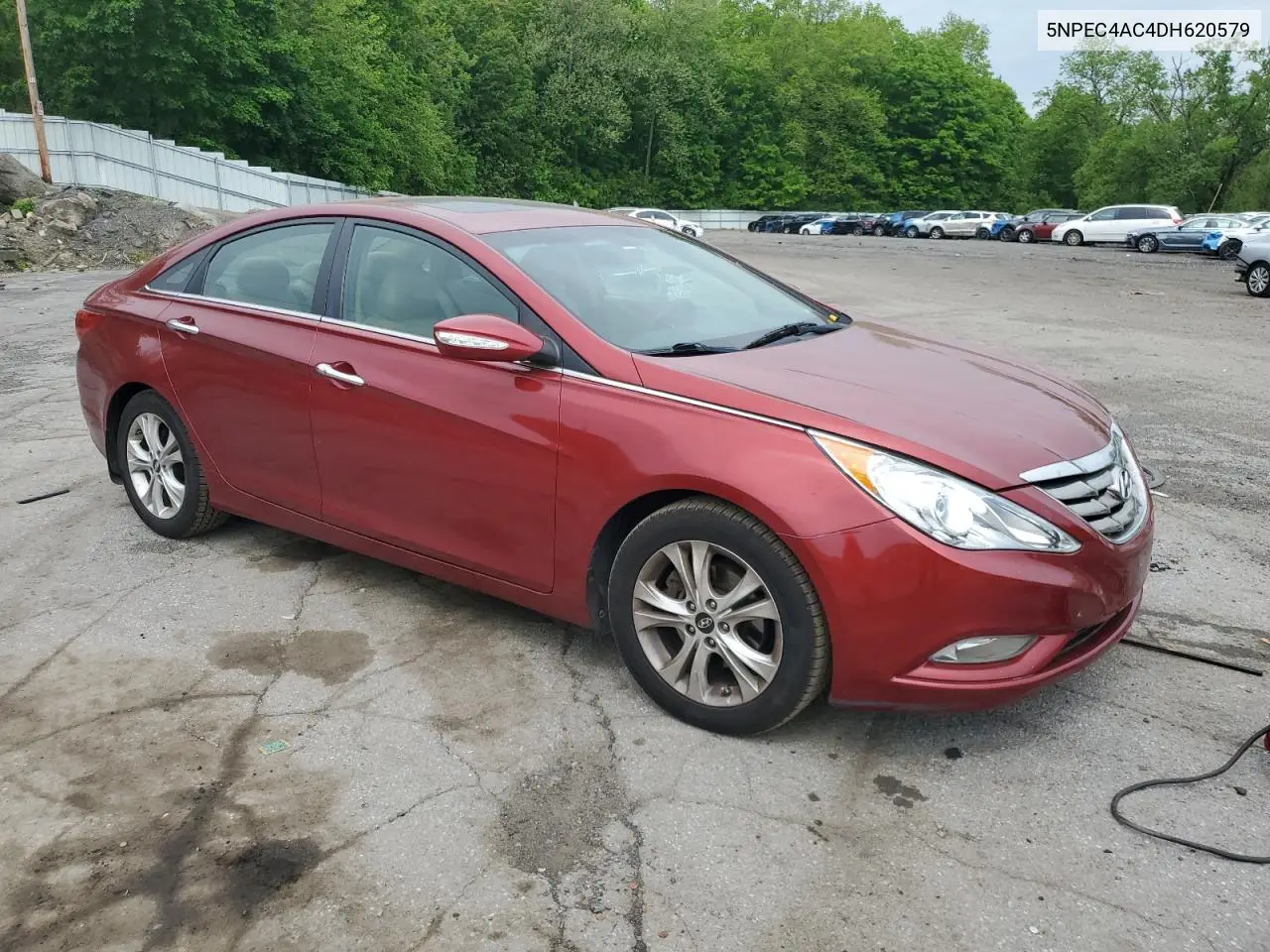 2013 Hyundai Sonata Se VIN: 5NPEC4AC4DH620579 Lot: 56136065