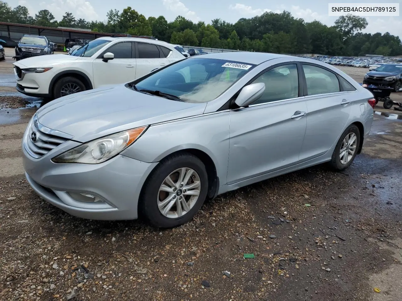 2013 Hyundai Sonata Gls VIN: 5NPEB4AC5DH789125 Lot: 63106635