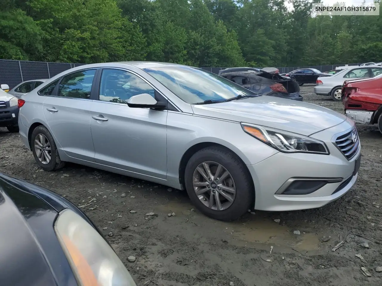 2016 Hyundai Sonata Se VIN: 5NPE24AF1GH315879 Lot: 56278565