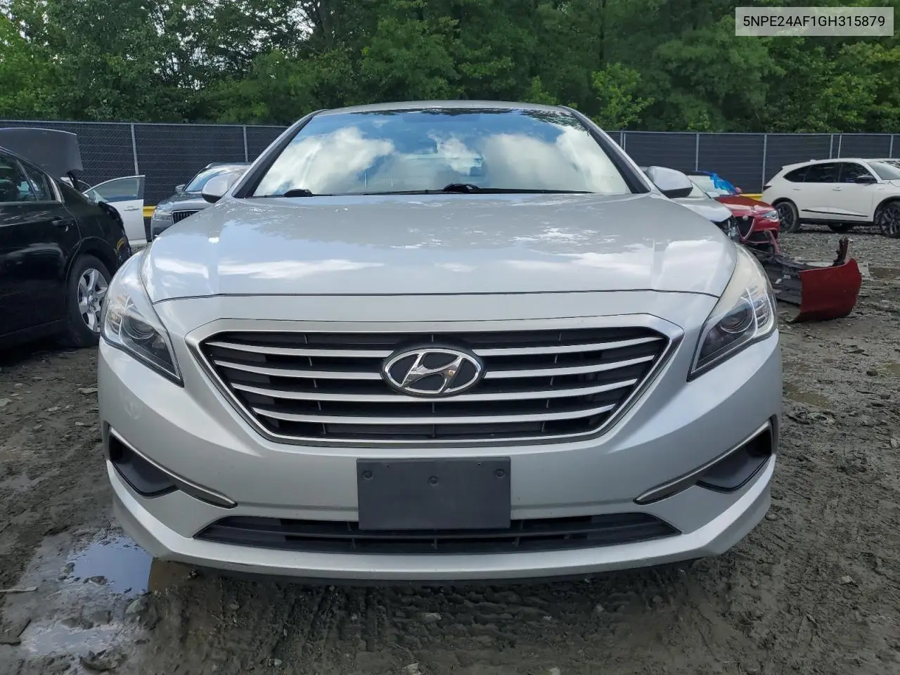 2016 Hyundai Sonata Se VIN: 5NPE24AF1GH315879 Lot: 56278565
