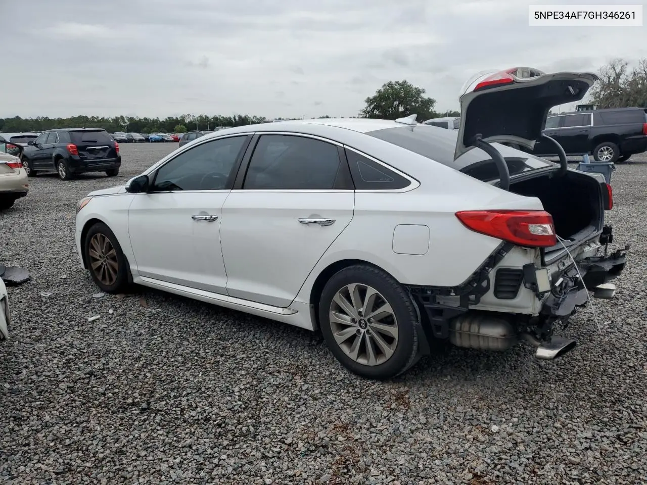 2016 Hyundai Sonata Sport VIN: 5NPE34AF7GH346261 Lot: 62734565