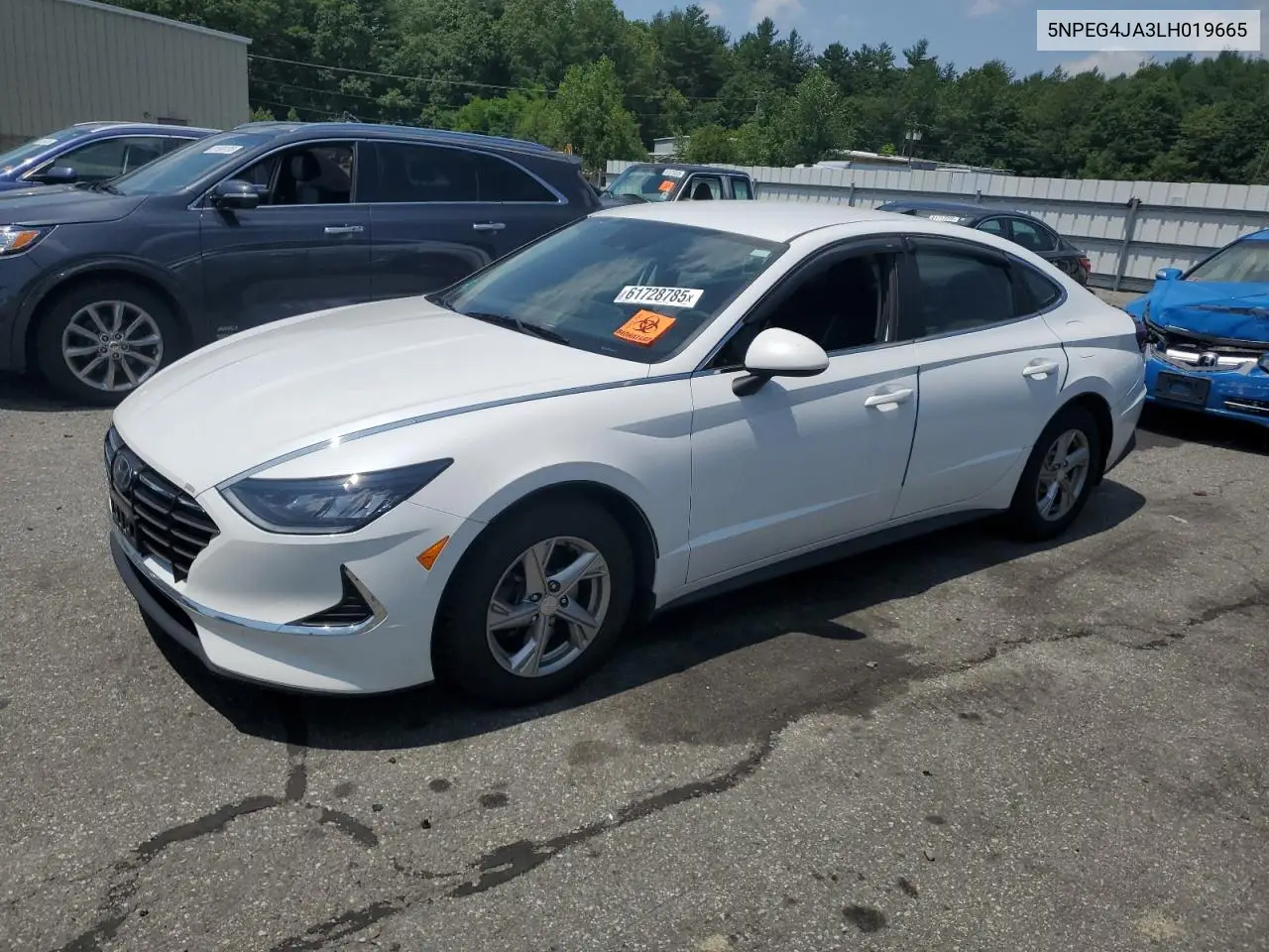 2020 Hyundai Sonata Se VIN: 5NPEG4JA3LH019665 Lot: 61728785