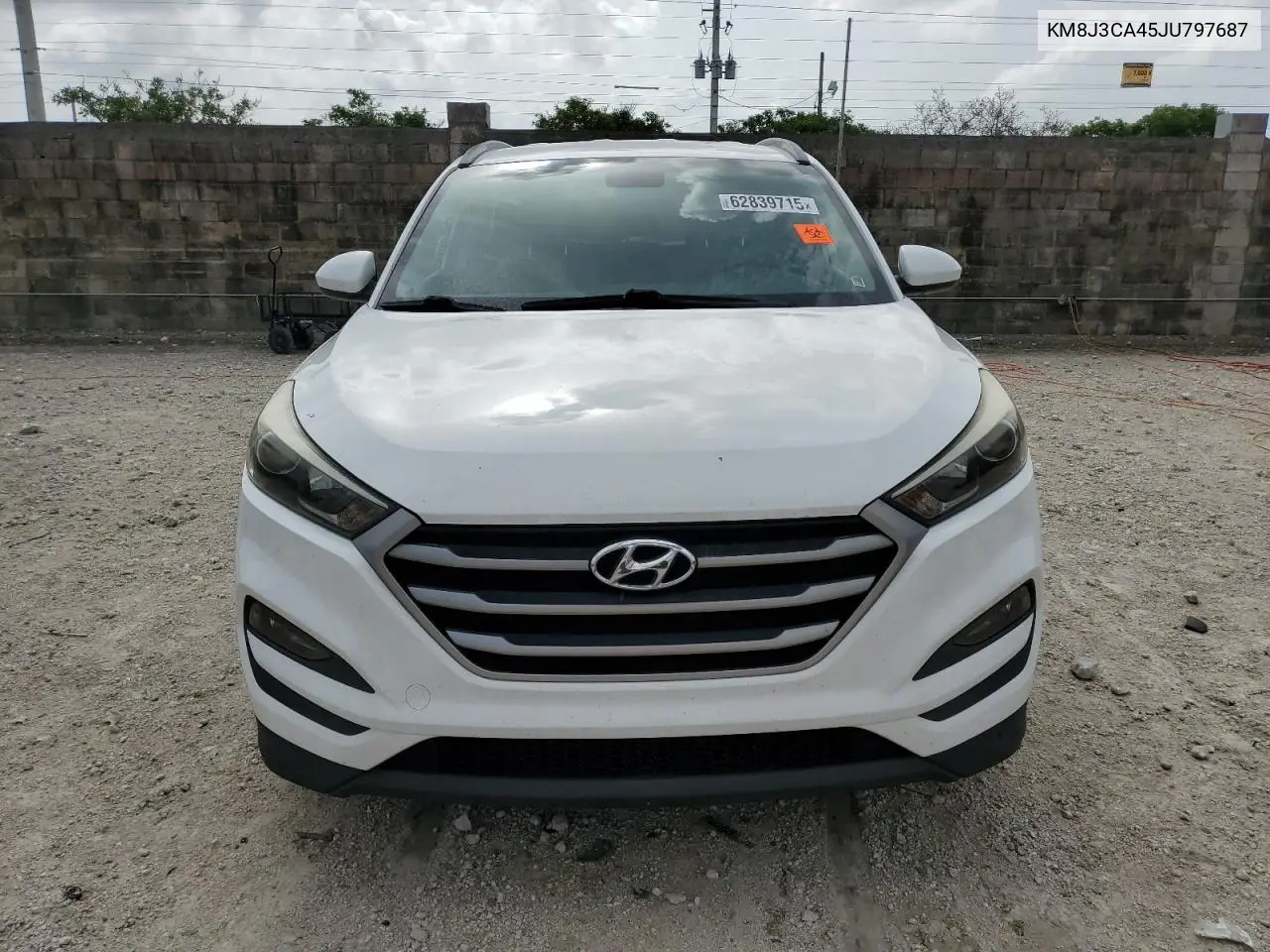 2018 Hyundai Tucson Sel VIN: KM8J3CA45JU797687 Lot: 62839715