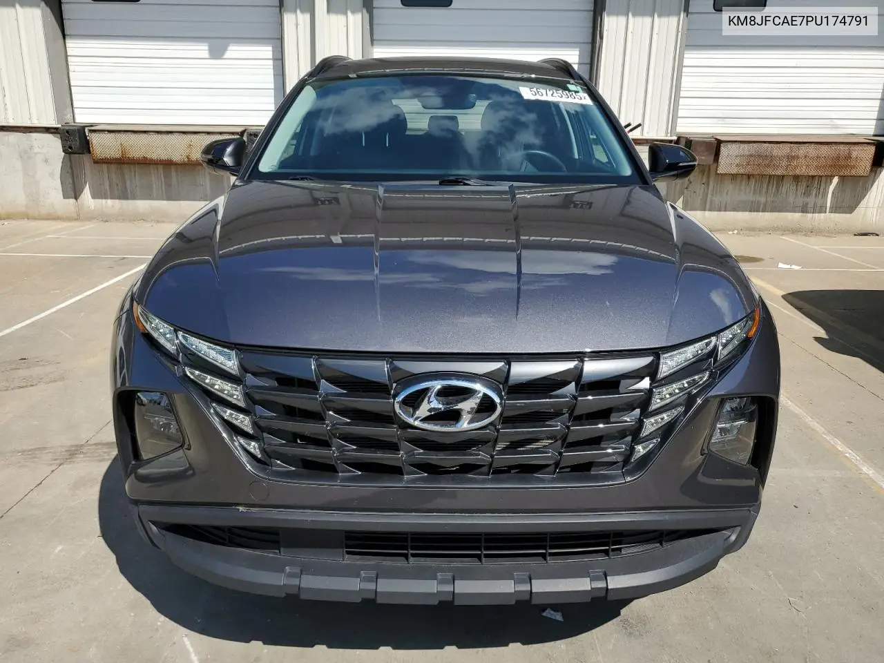 2023 Hyundai Tucson N Line VIN: KM8JFCAE7PU174791 Lot: 56725985