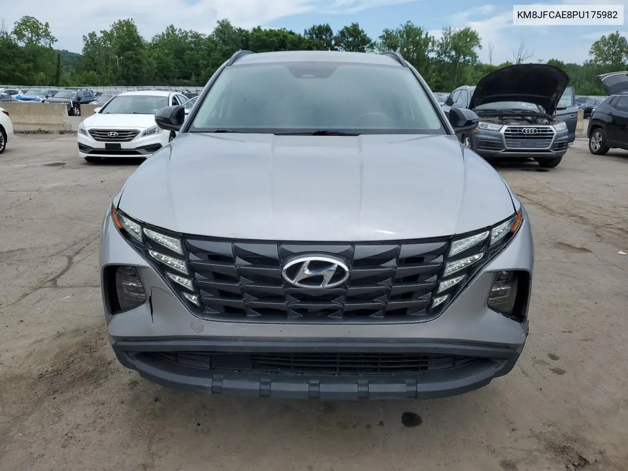 2023 Hyundai Tucson N Line VIN: KM8JFCAE8PU175982 Lot: 62172915