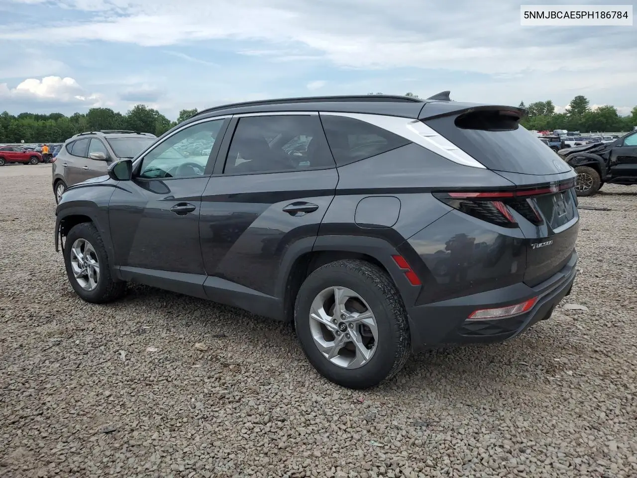 2023 Hyundai Tucson Sel VIN: 5NMJBCAE5PH186784 Lot: 62896985