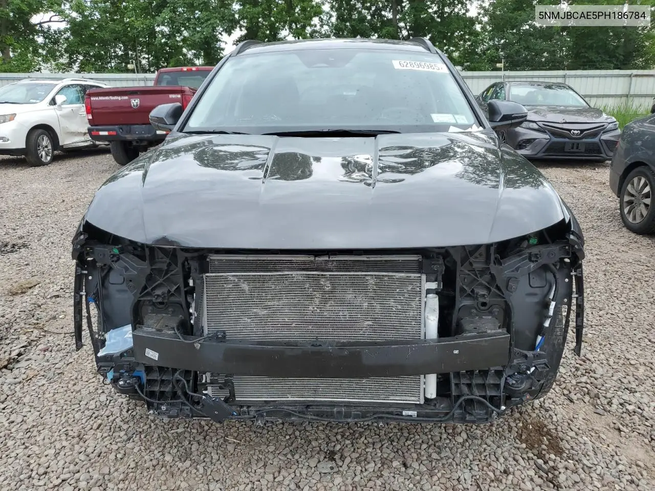 2023 Hyundai Tucson Sel VIN: 5NMJBCAE5PH186784 Lot: 62896985