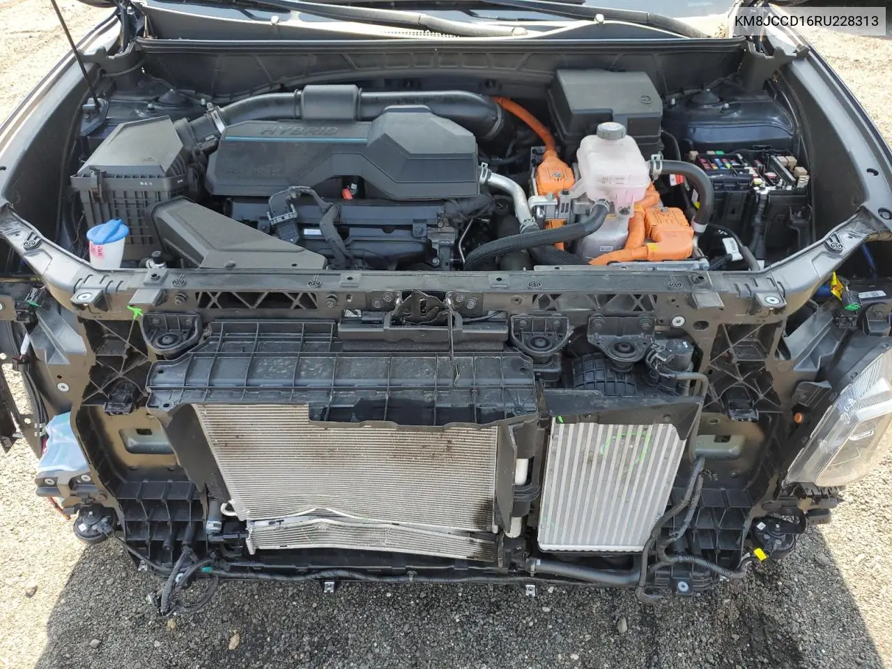 2024 Hyundai Tucson Sel Convenience VIN: KM8JCCD16RU228313 Lot: 62900285