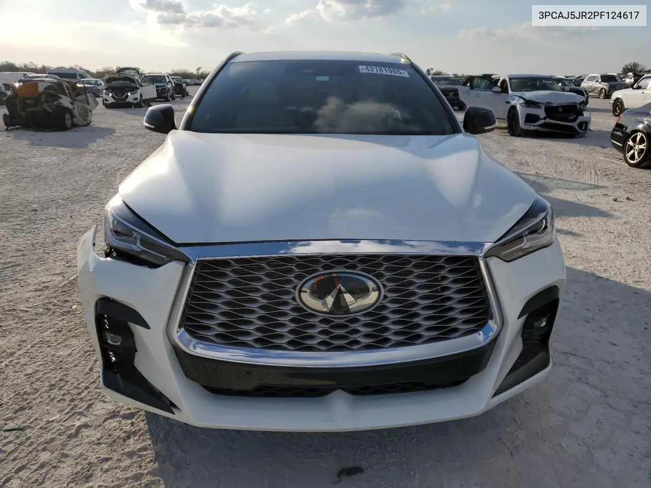 2023 Infiniti Qx55 Luxe VIN: 3PCAJ5JR2PF124617 Lot: 43181985