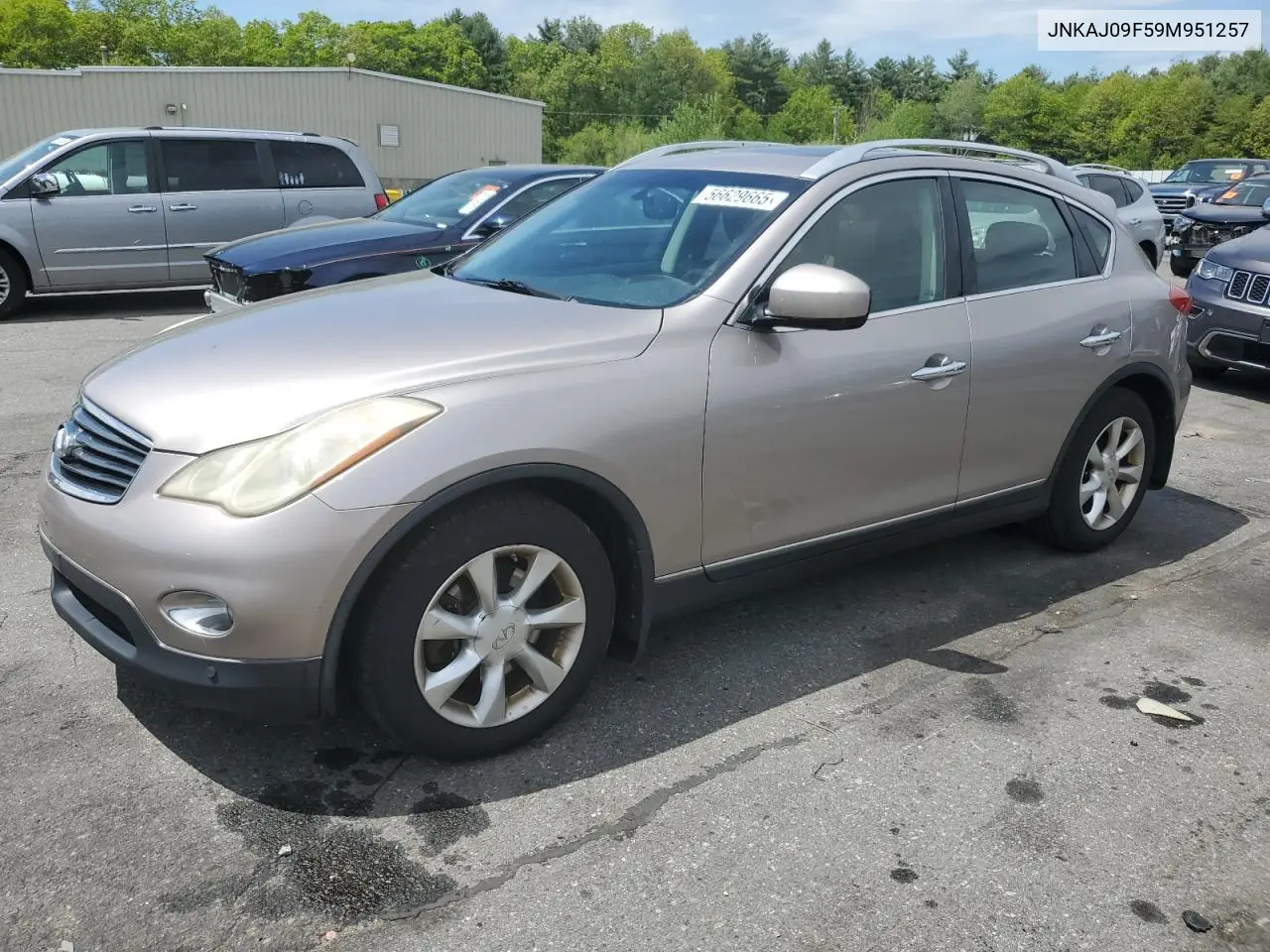 2009 Infiniti Ex35 Base VIN: JNKAJ09F59M951257 Lot: 56629665