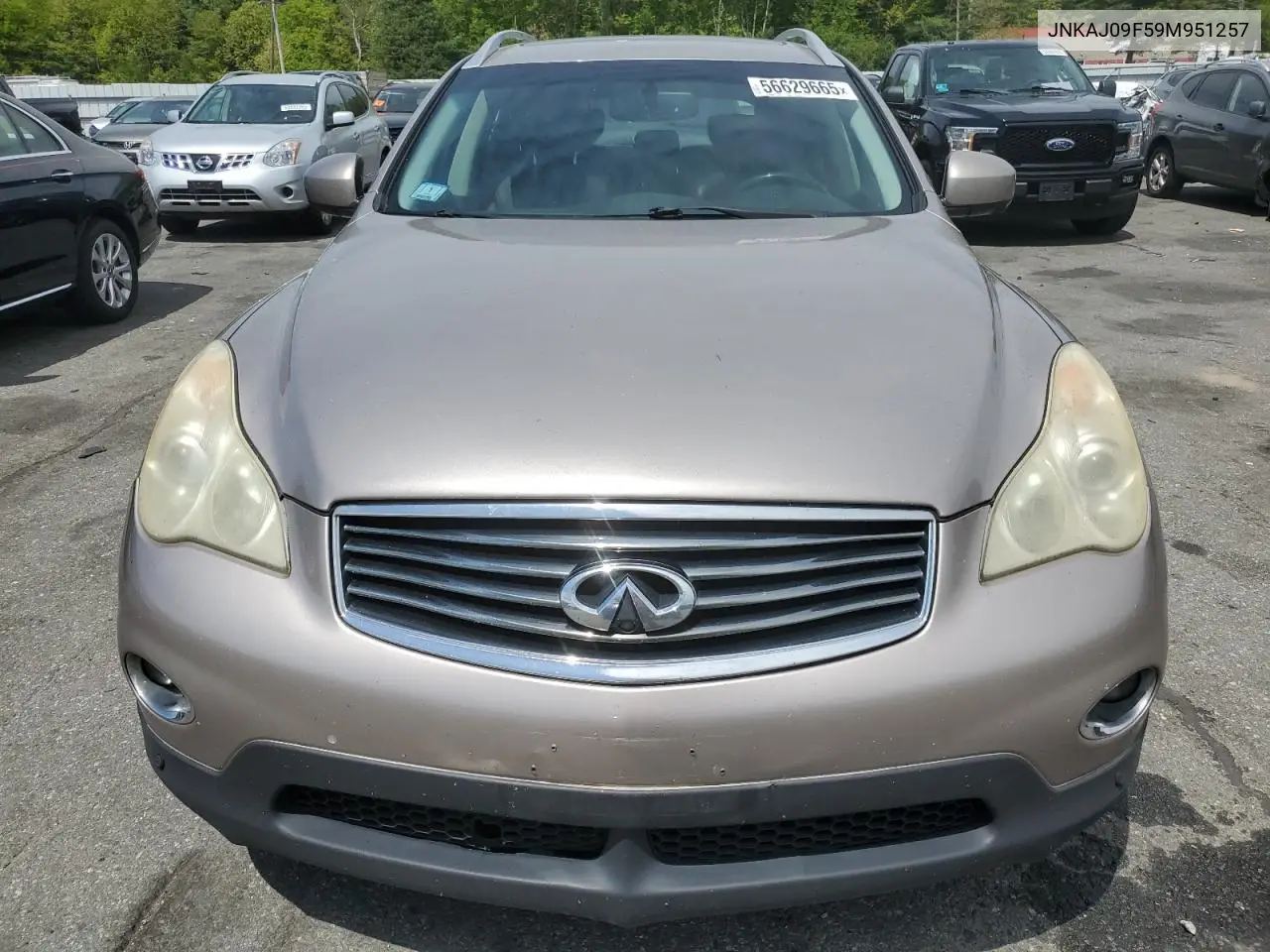 2009 Infiniti Ex35 Base VIN: JNKAJ09F59M951257 Lot: 56629665