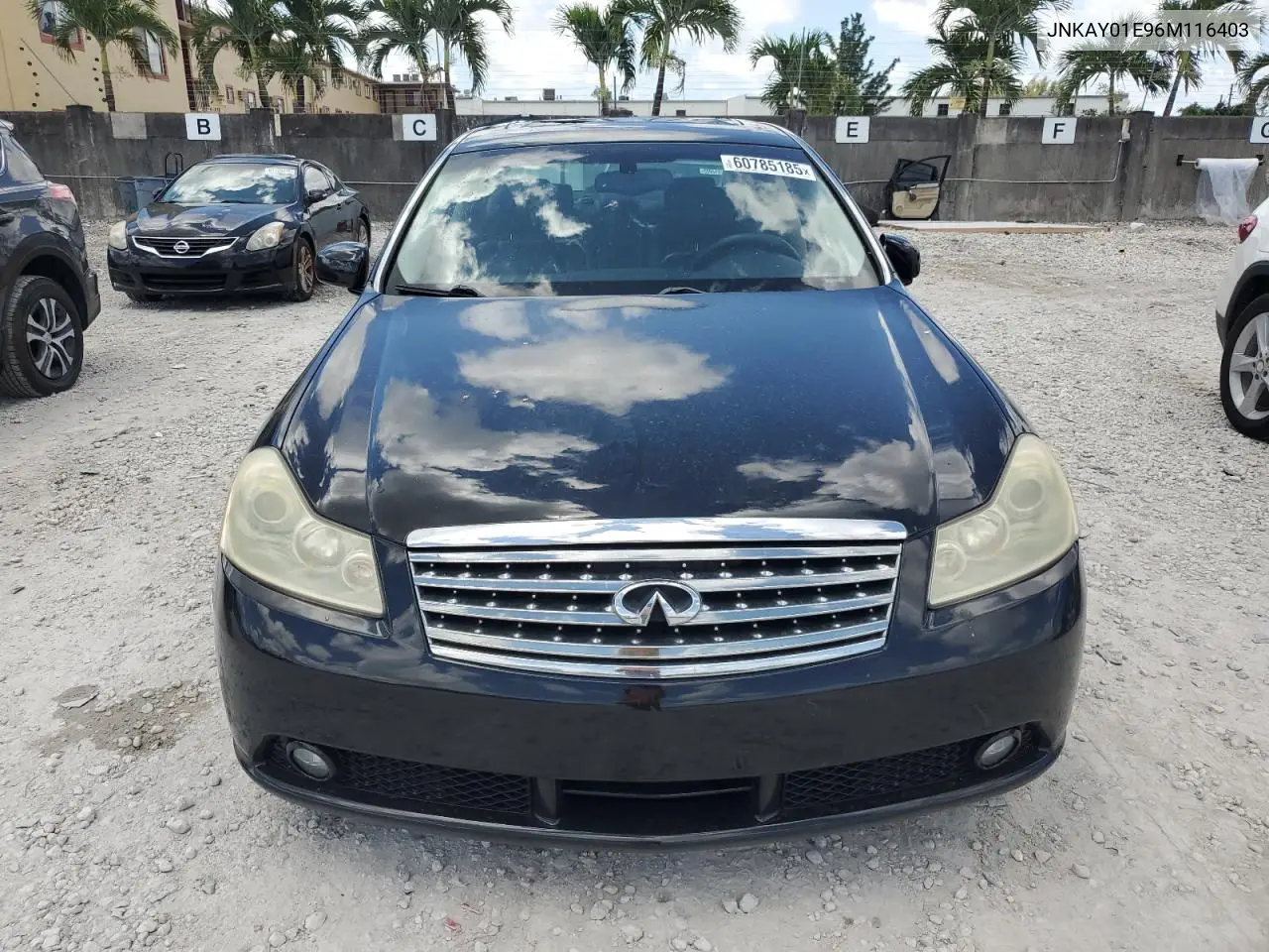 2006 Infiniti M35 Base VIN: JNKAY01E96M116403 Lot: 60785185