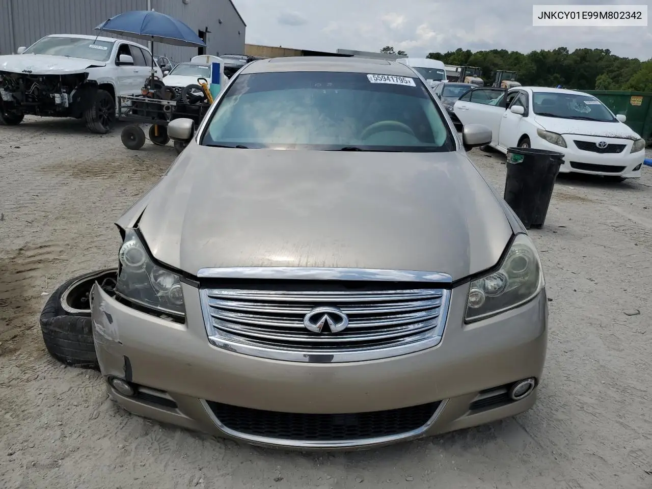 2009 Infiniti M35 Base VIN: JNKCY01E99M802342 Lot: 55941795