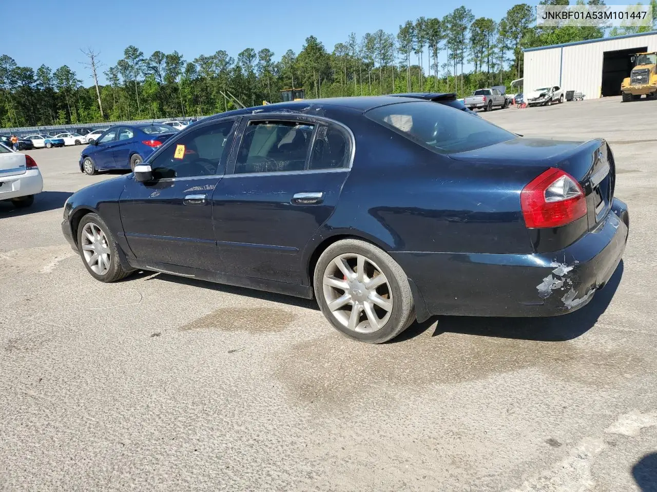 2003 Infiniti Q45 VIN: JNKBF01A53M101447 Lot: 53293135