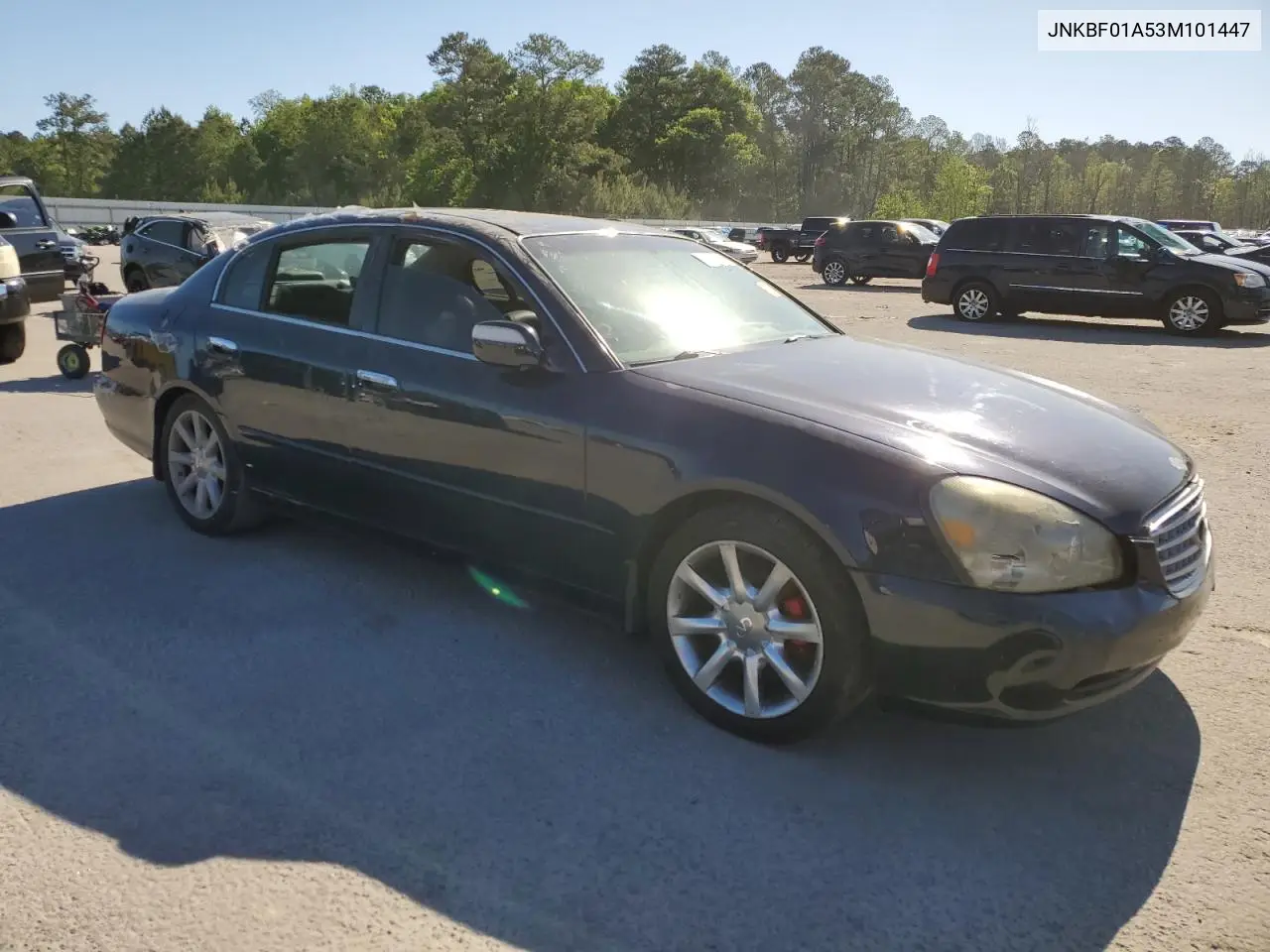 2003 Infiniti Q45 VIN: JNKBF01A53M101447 Lot: 53293135